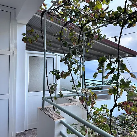 Sevilia Qëparo