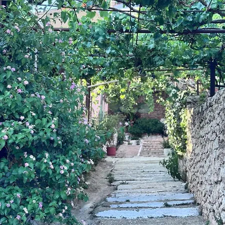 Sevilia Daire