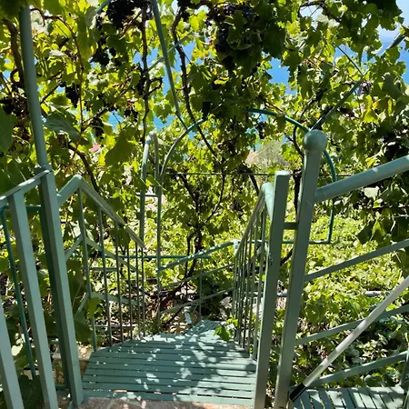 Apartment Sevilia