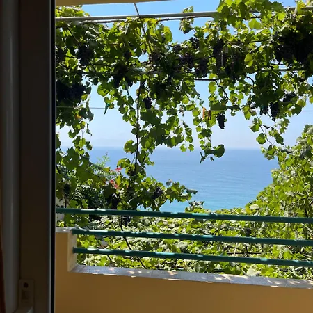 Sevilia * Qeparo