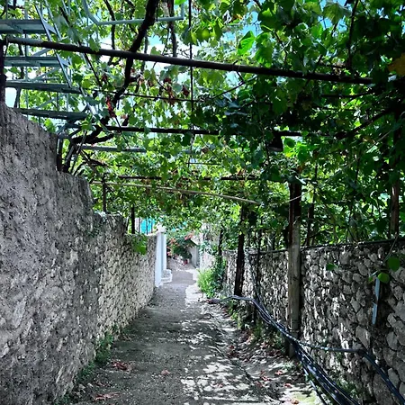 Sevilia * Qeparo