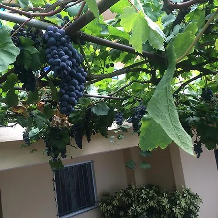 Apartment Sevilia